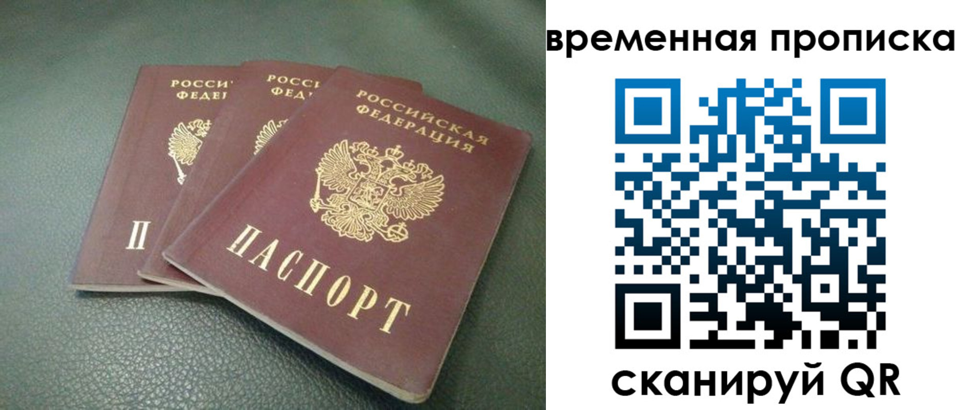 прописка гарантия в Лыткарино